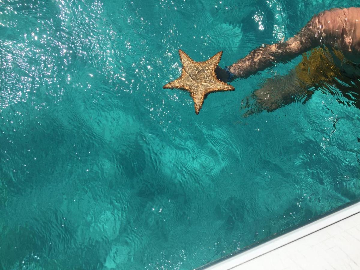 ZANNANNA F1 de charme tout équipé Le Moule avec piscine Extérieur photo